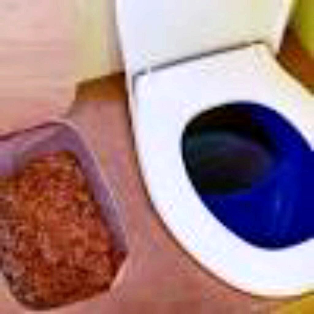 Ce Sont Les 5 Meilleures Toilettes à Compost. Avis Et Guide D'achat